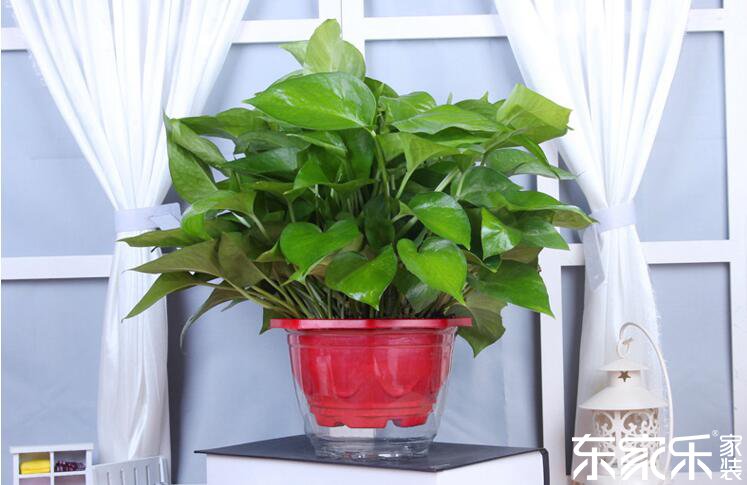 剛裝修完的房子里含有哪些有害物質(zhì)？哪些方法可以去除？